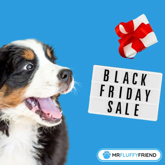 Black-Friday-Angebote für Haustiere