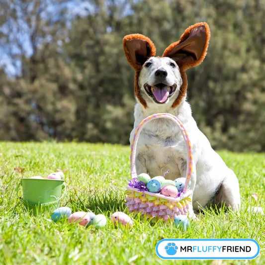 Beitragsbild eines Blogs über Osterkörbe für Hunde