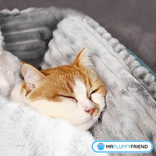 besten Decken fur Katzen