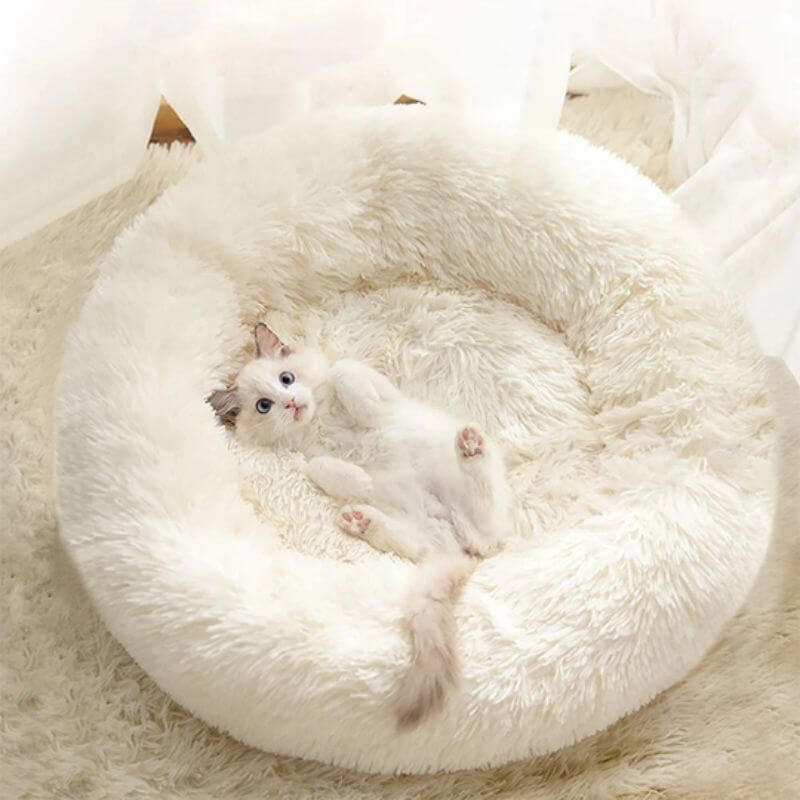 MrFluffyFriend – Das beste therapeutische Katzenbett