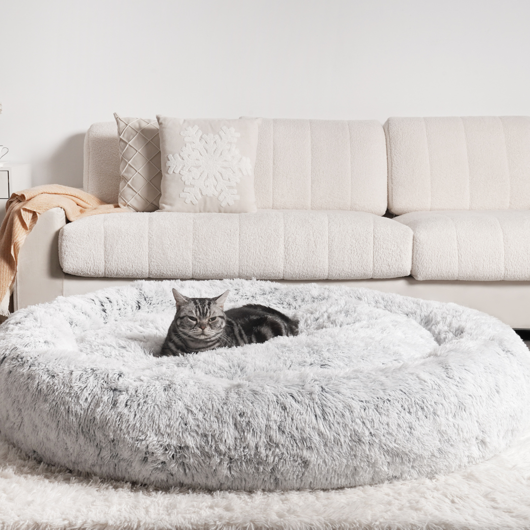 MrFluffyFriend – Stressfreies Katzenbett