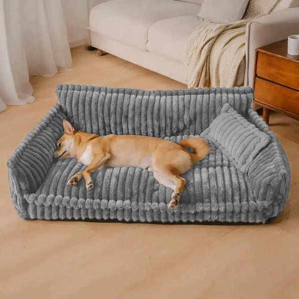 Willst du deinem Hund den Komfort geben, den er verdient?