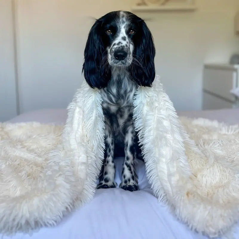 MrFluffyFriend® - Beruhigende Flauschige Haustierdecke gegen Angst