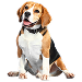 Dog Größe: XL