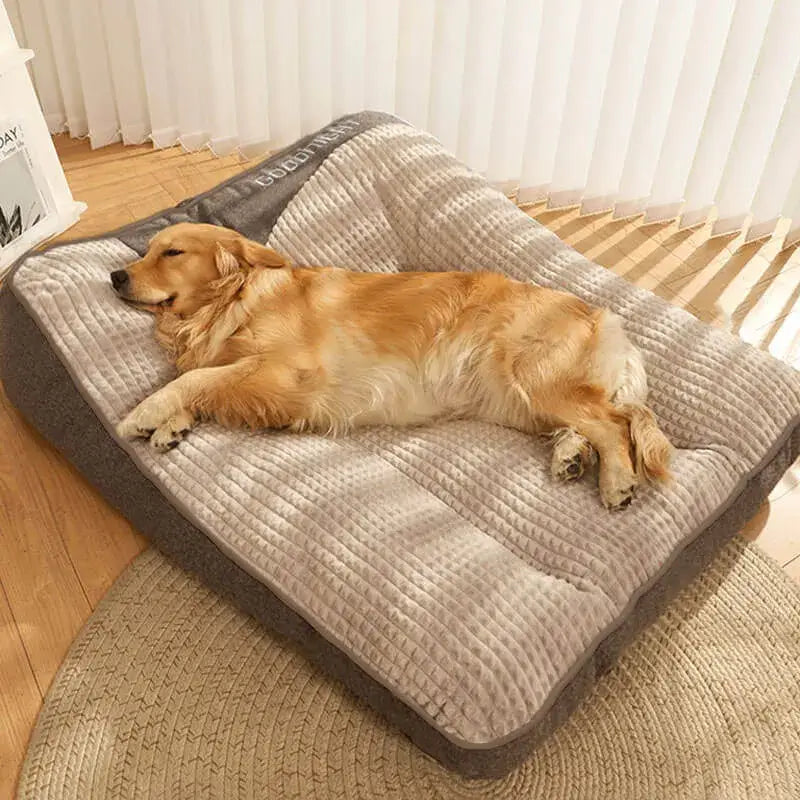3 von 4 Hunden schlafen ohne richtige Stütze