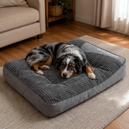 MrFluffyFriend® - Beruhigendes Hundekissen
