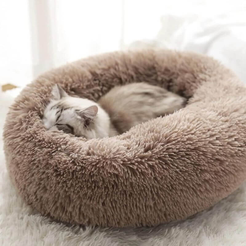 MrFluffyFriend – Die besten Katzenbetten zur Linderung von Angstzuständen