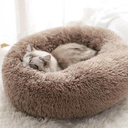 MrFluffyFriend – Die besten Katzenbetten zur Linderung von Angstzuständen