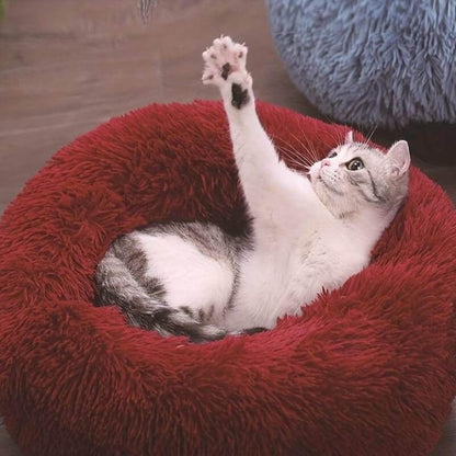 MrFluffyFriend – Das beste therapeutische rote Katzenbett